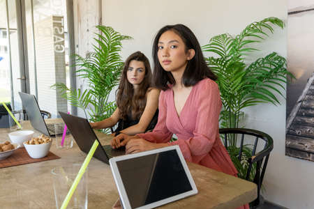 Multiracial young women in casual clothes using laptops and looking at camera while sitting at table and working remotely in cafe in daytimeの写真素材