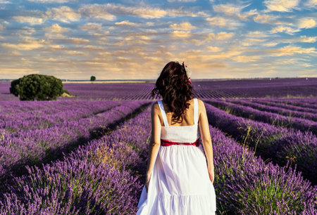 Back view of a woman in a dress walking in lavender flower field. Nature concept.の写真素材