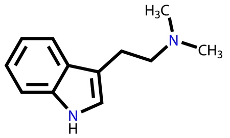 Hallucinogen dimethyltryptamine structural formulaのイラスト素材