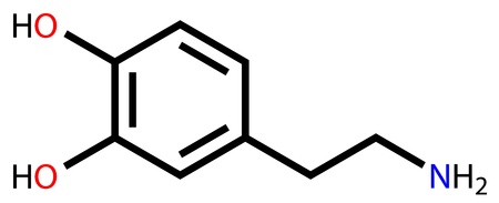 Dopamine structural formulaのイラスト素材