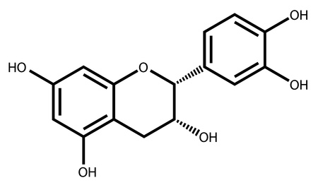 Epicatechin, a natural antioxidant found in plantsのイラスト素材