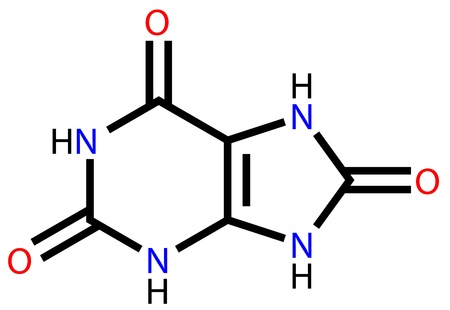 Structural formula of uric acidのイラスト素材