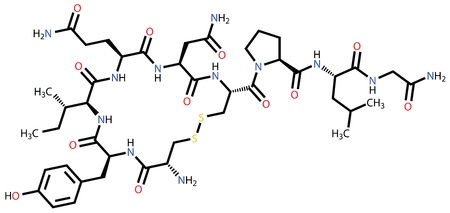 Oxytocin "love hormone" structural formulaのイラスト素材