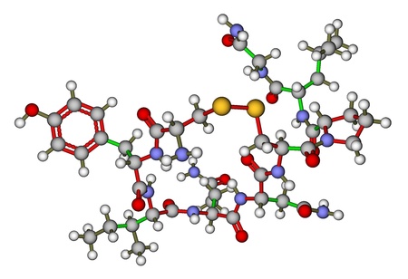 Oxytocin "love hormone" molecular structureの写真素材