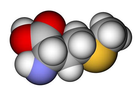 Essential amino acid methionine 3D molecular modelの写真素材
