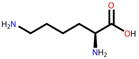 Essential amino acid lysine structural formulaのイラスト素材