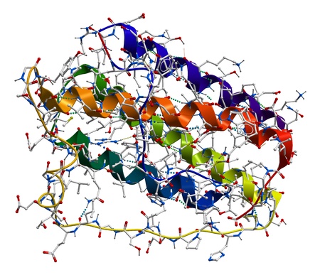 Leptin, the human obesity protein that regulates an appetite. 3D molecular structureの写真素材