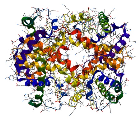 Hemoglobin molecule isolated on a white backgroundの写真素材