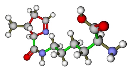 Amino acid pyrrolysine 3D molecular structureの写真素材