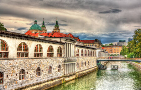 Embankment in Ljubljana - Sloveniaのeditorial素材