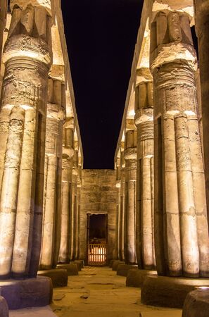 Colonnade in the Luxor Temple - Egyptのeditorial素材