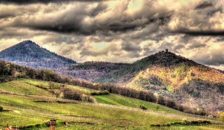 Famous wine route in the Vosges mountains - Alsace, Franceの写真素材