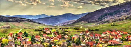 Famous wine route in the Vosges mountains - Alsace, Franceの写真素材