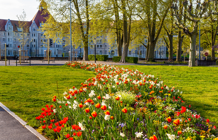 Flowers in Besancon in spring - Franceの写真素材