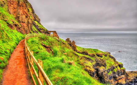 Path along the Giant's Causeway in Northern Irelandの写真素材