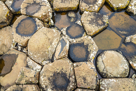 Basalt-tiled seashore of the Giant's Causeway - Northern Irelandの写真素材