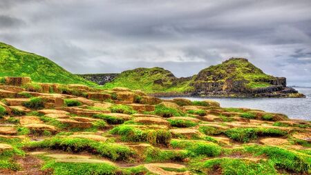 View of the Giant\'s Causeway, in Northern Irelandの写真素材