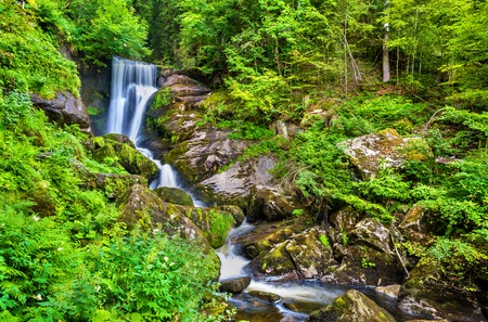 Triberg Falls, one of the highest waterfalls in Germany - the Black Forest regionの写真素材