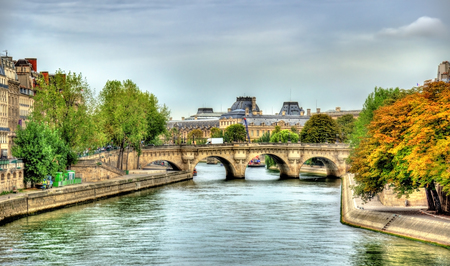 The Seine River and the Pont Neuf bridge in Paris - Franceの写真素材