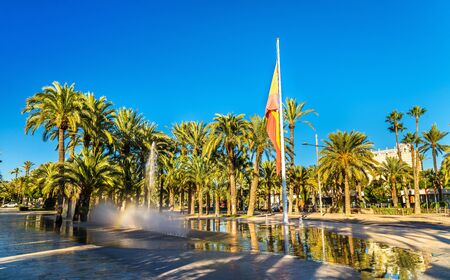The Palmeral of Elche, Spain, one of the largest in the world. UNESCO heritage siteの写真素材