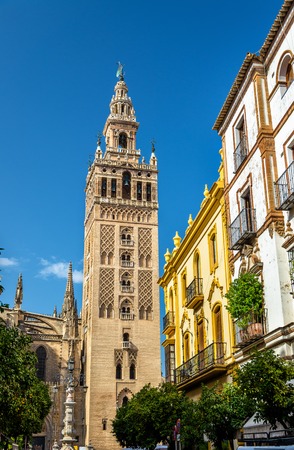 The Cathedral of Saint Mary of the See in Seville - Andalusia, Spainの写真素材