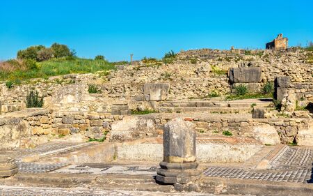 Ruins of Volubilis, a Berber and Roman city in Moroccoの写真素材