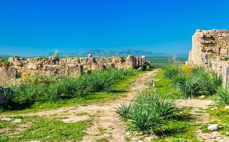 Ruins of Volubilis, a Berber and Roman city in Moroccoの写真素材