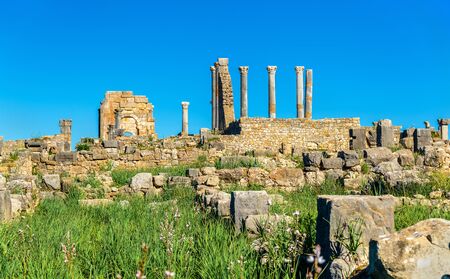 Ruins of Volubilis, a Berber and Roman city in Moroccoの写真素材