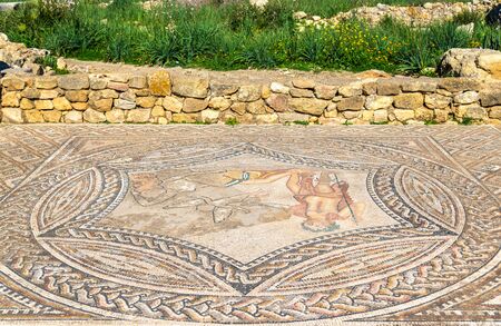 Ancient mosaic at Volubilis, Moroccoの写真素材