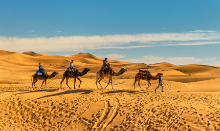 Tourists riding camels at Erg Chebbi near Merzouga in Moroccoのeditorial素材