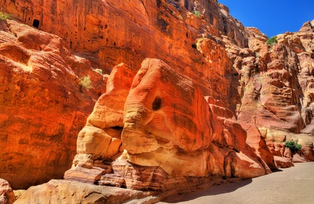 The Elephant Shaped Rock at Petraの写真素材