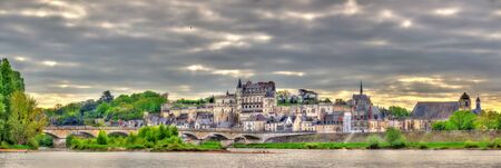 View of Amboise town with the castle and the Loire river. France.