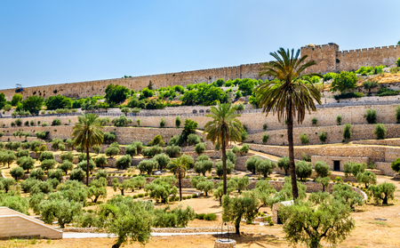 City Walls of Jerusalem above the Kidron Valley - Israel