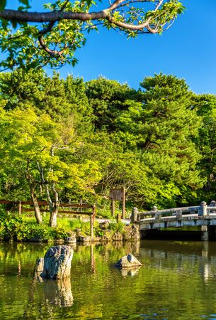 Maruyama Park in Kyoto, Japan. Spring sceneの写真素材