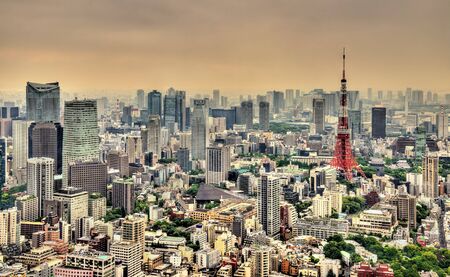 Aerial view of Tokyo with Tokyo Tower - Japanの写真素材