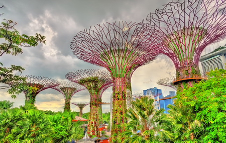 Gardens by the Bay, a nature park in central Singaporeのeditorial素材