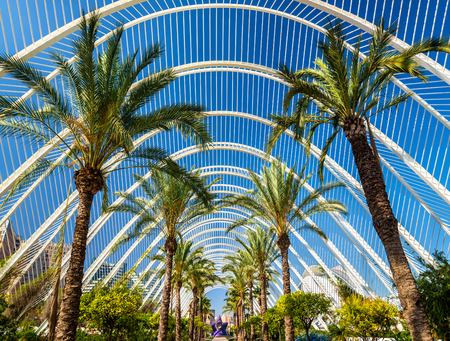 Plants in the Umbracle, a landscaped walk at he City of Arts and Sciences in Valencia, Spainのeditorial素材