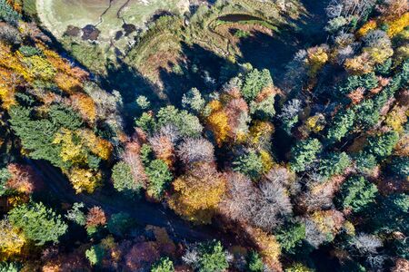 Aerial view of trees in the Vosges Mountains in autumnの写真素材