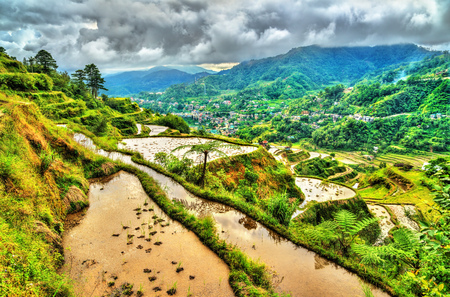 Banaue Rice Terraces - northern Luzon, UNESCO world heritage in Philippines.の写真素材