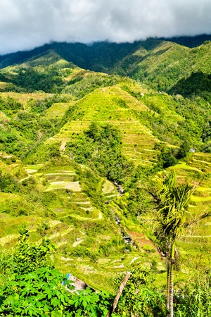 Banaue Rice Terraces - northern Luzon, UNESCO world heritage in Philippines.の写真素材