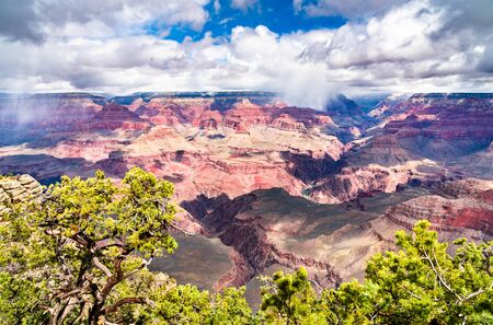 Grand Canyon as seen from Mather Pointの写真素材