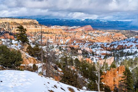 Bryce Canyon in early springの写真素材
