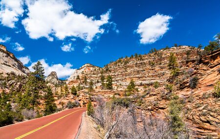 Zion-Mount Carmel Highway at Zion National Parkの写真素材