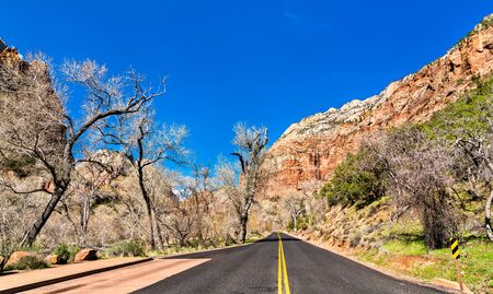 Zion Canyon Scenic Drive in Zion National Parkの写真素材