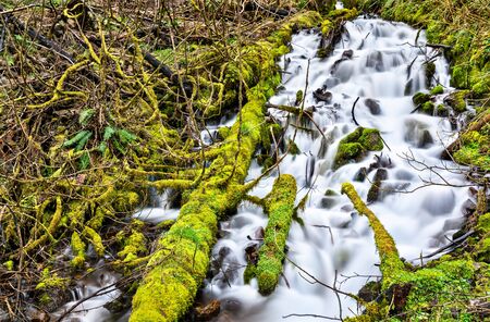 Wahkeena Falls in the Columbia River Gorge, USAの写真素材
