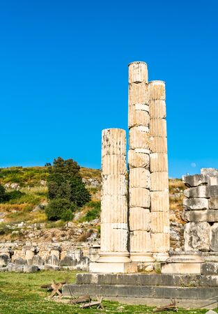 Ruins of the Letoon in Turkeyの写真素材