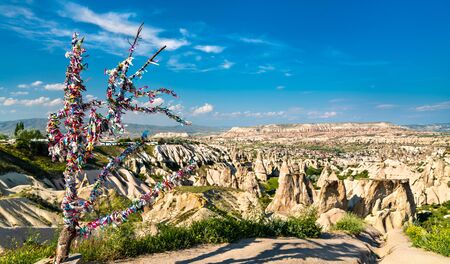 Wish tree in Cappadocia, Turkeyの写真素材