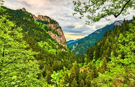 View of Sumela Monastery at Mela Mountain in Turkey