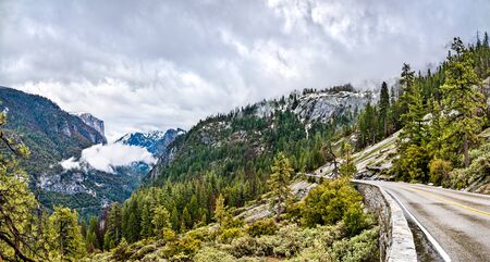Wawona Road in Yosemite National Park, California