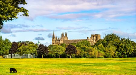 View of Peterborough Cathedral in Englandの写真素材